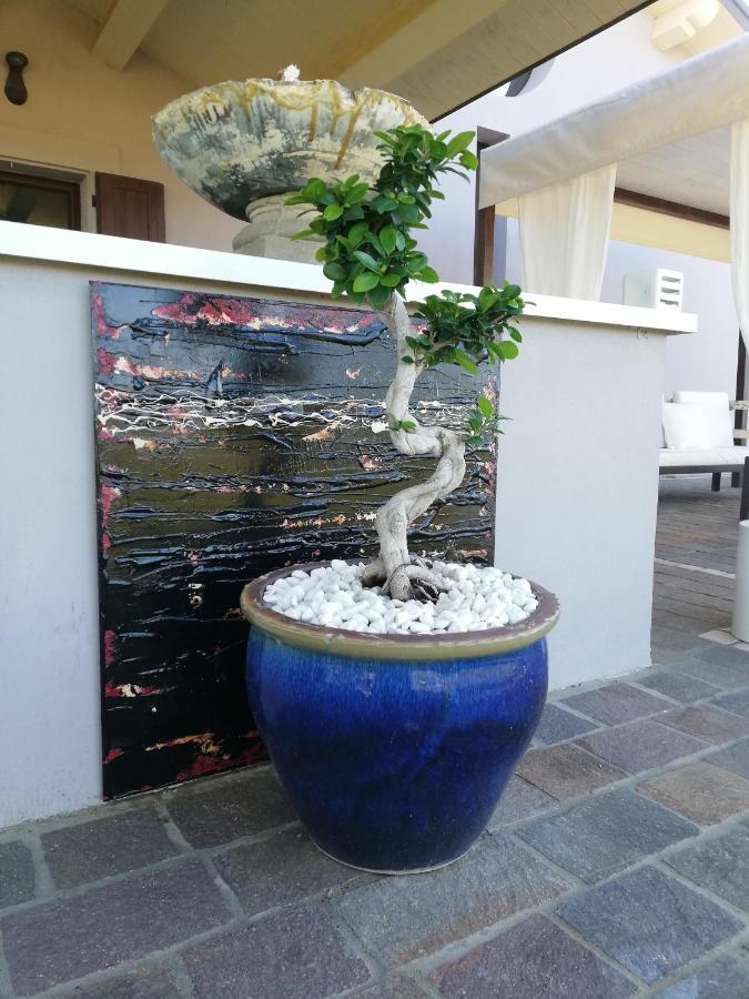 ماروتّا B&B Flavio E Catia المظهر الخارجي الصورة